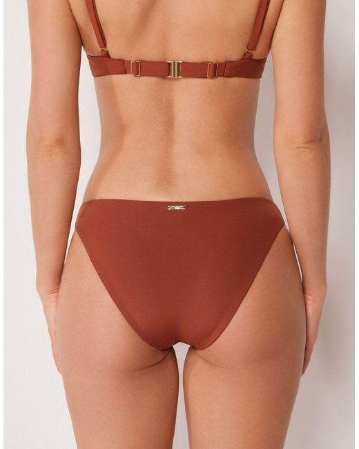 Calzedonia Brown Premium Fit Brief Bikini Bottom