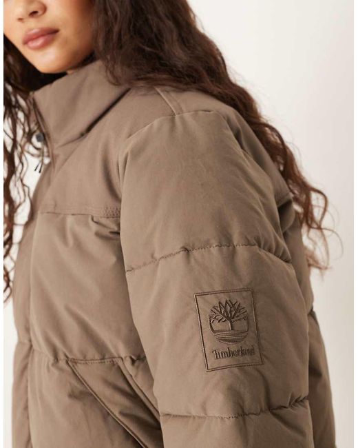 Piumino Con Isolamento Sintetico Color Goccia Di Cioccolato di Timberland in Brown