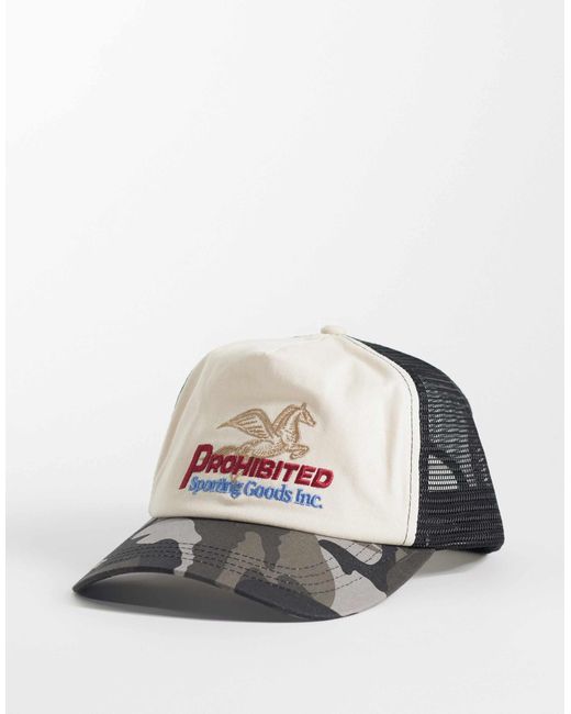 Prohibited Multicolor – pegasus – kappe