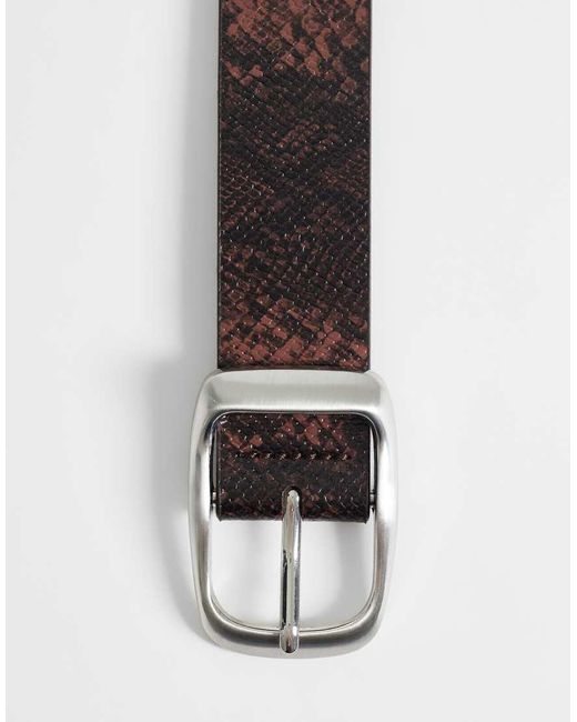 ASOS Brown Snakeprint Belt With Rounded Brushed Silver Buckle for men