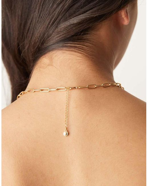 Collana Placcata Pallido Con Catenina E Stella Marina di Orelia in Brown
