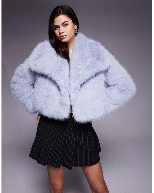 Kiwi & Co Blue Lyla Faux Fur Oversized Collar Detail Cropped Jacket