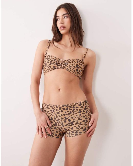 Regatta Brown Aceana Bikini Short
