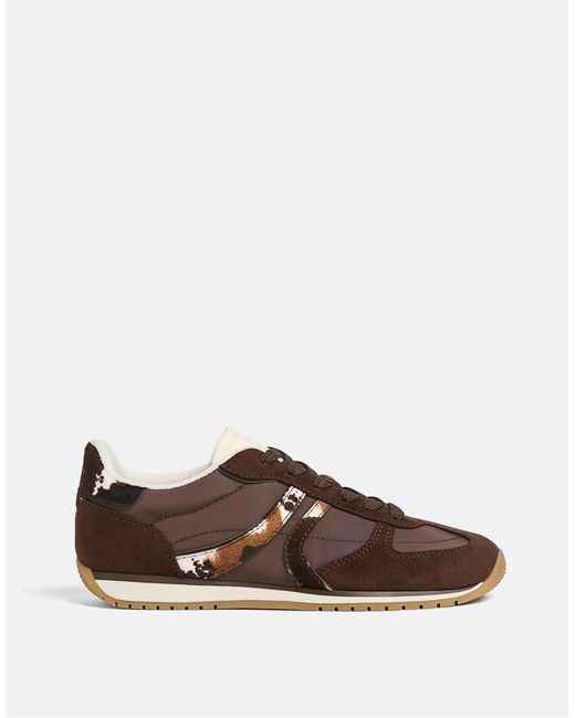Stradivarius Brown Animal Print Sports Shoes