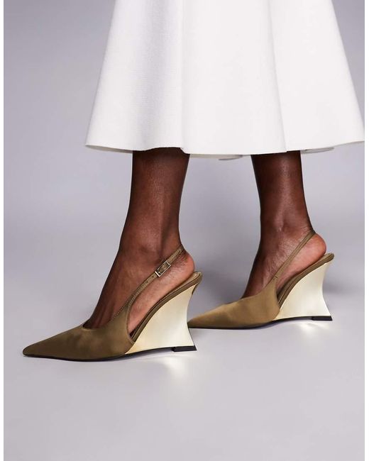 ASOS Professor in het Brown