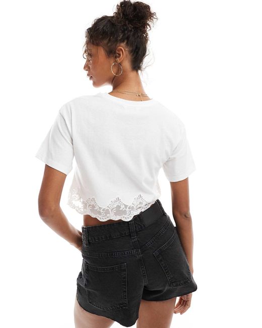 Miss Selfridge Brown Lace Hem Short Sleeve T-shirt