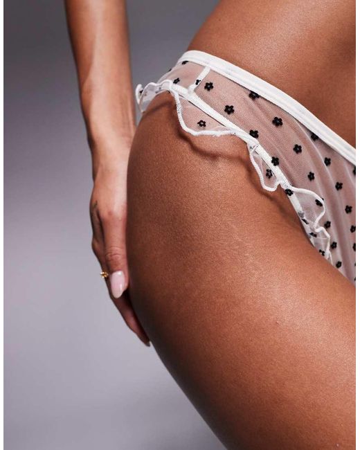 Wild Lovers Multicolor Florent Mesh Brief