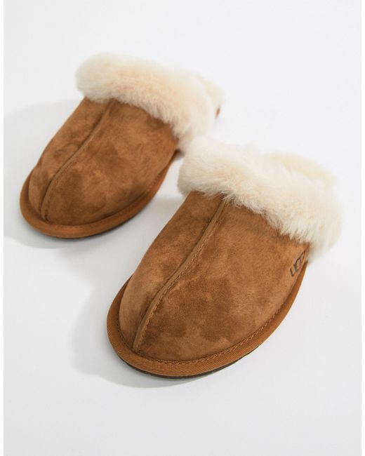 Scuffette chestnut slippers new arrivals