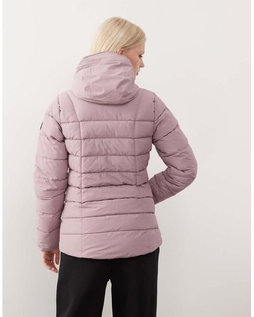 Dare 2b Purple Wander Waterproof Jacket