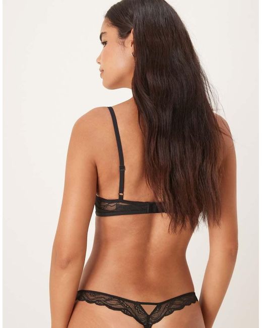 Calvin Klein Natural Sensual Stretch Lace Thong