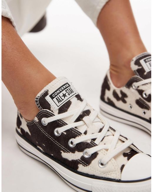 Converse White – chuck taylor all star ox – sneaker mit kuhfellmuster