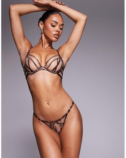 Ann Summers Brown Sheer Desire Animal Lingerie Thong