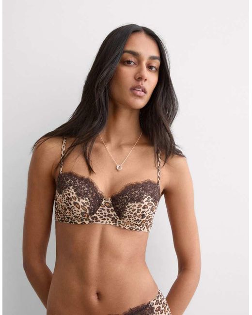 Intimissimi Brown Sofia Simply Iconic