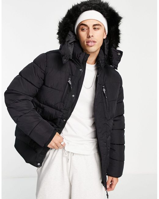 apparis leopard puffer