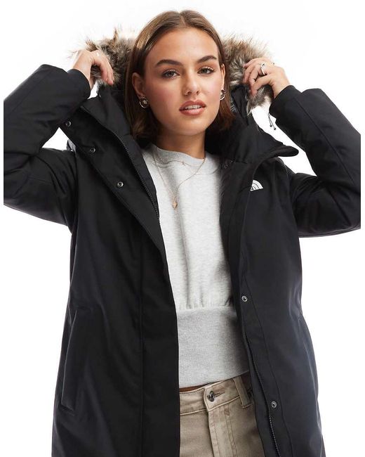 Arctic the north face sales