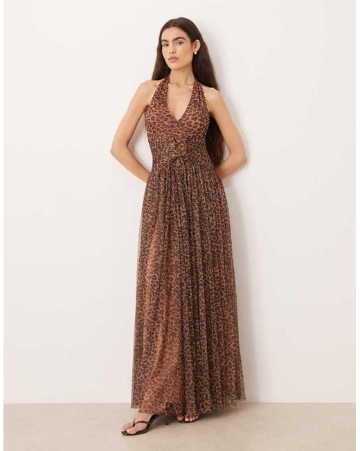 LACE & BEADS Brown Tulle Halter Lace Up Corset Detail Maxi Dress