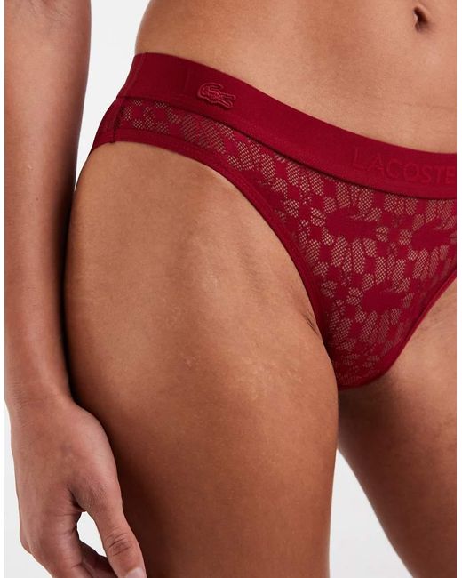 Lacoste Red Lace Brief