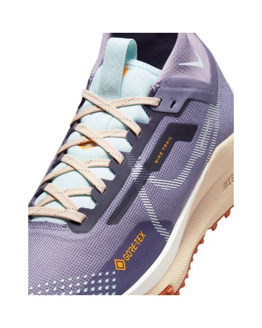 Nike Blue – pegasus trail 4 gtx – sneaker
