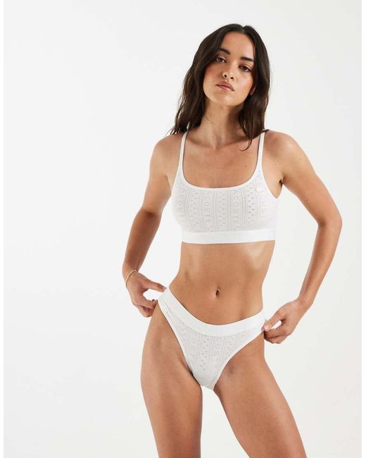Lacoste Brown Pointelle Bralette
