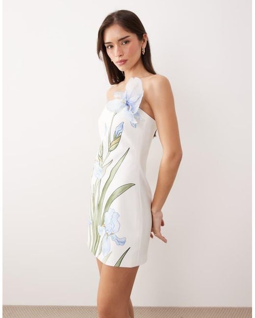 JW PEI Natural Bandeau 3d Floral Printed Applique Tailored Mini Dress