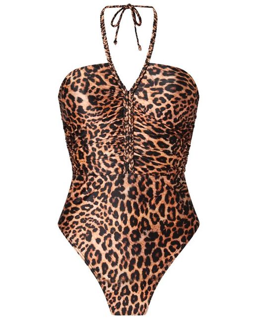 KBX Brown Knickerbox Collections Swimsuit