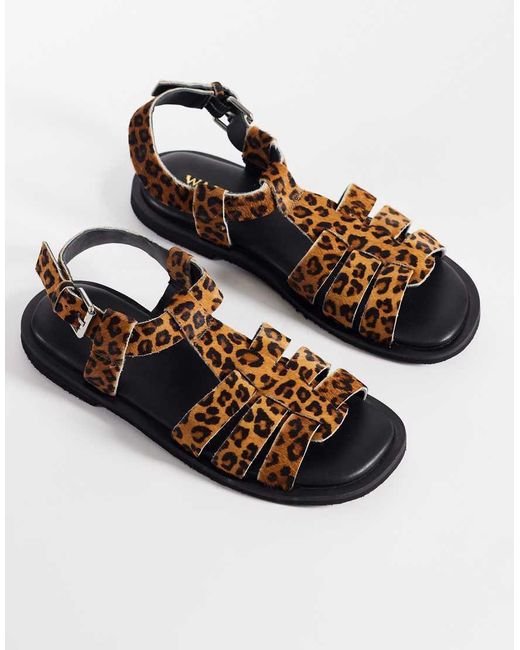 Walk London Brown Sophia Gladiator Sandal
