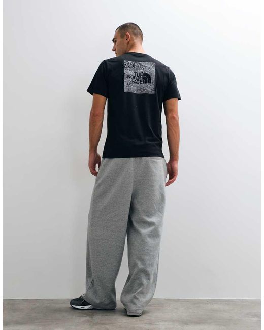 The North Face Gray Nse Celebration Graphic T-shirt for men