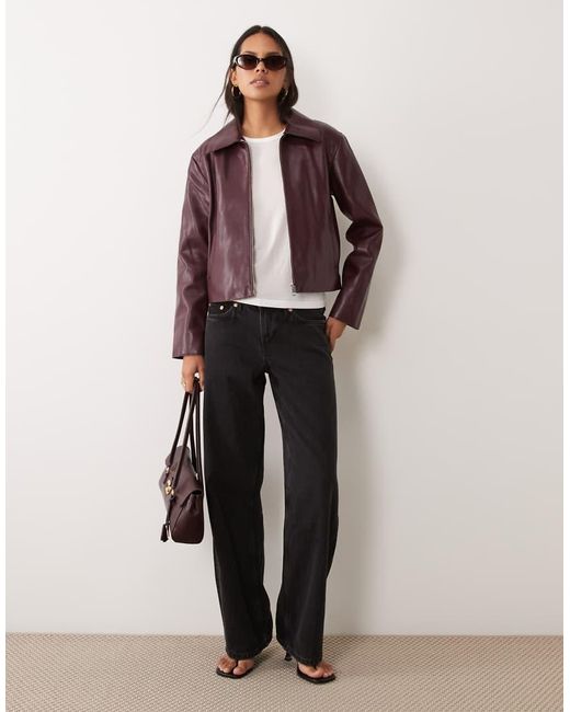 Giacca di Mango in Purple