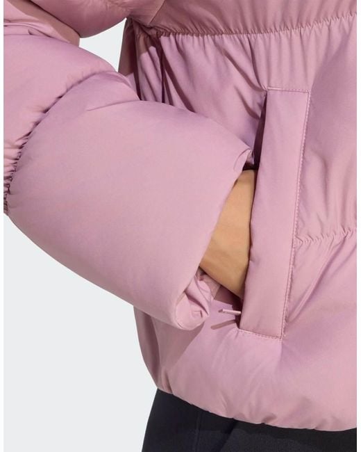 Adidas Originals Pink Short Padded Jacket