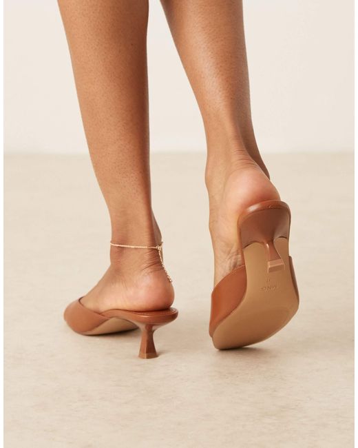 Mango Brown Classic Open Back Kitten Heel