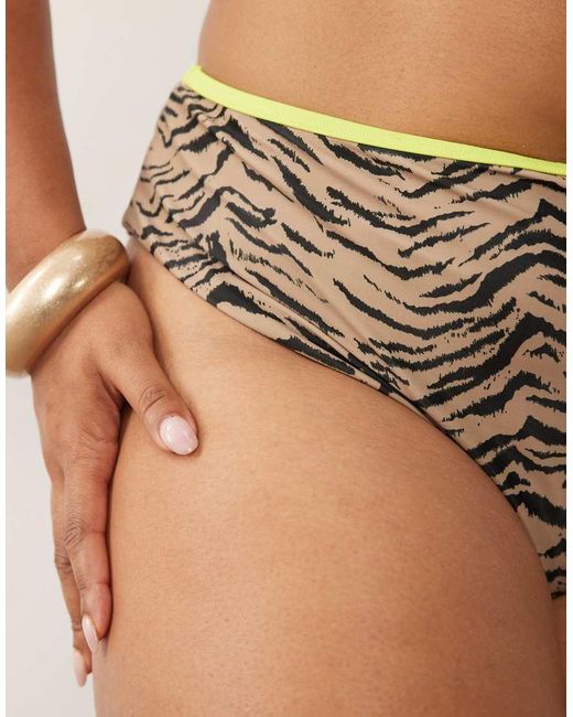 ASOS Brown Asos Design Curve Zaria High Leg High Waist Bikini Bottom With Contrast