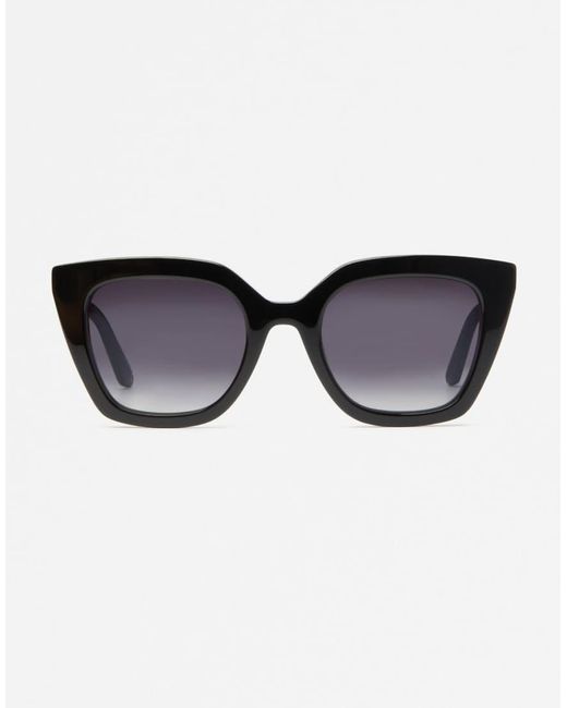 Jimmy Fairly Brown The Wind Cat Eye Sunglasses