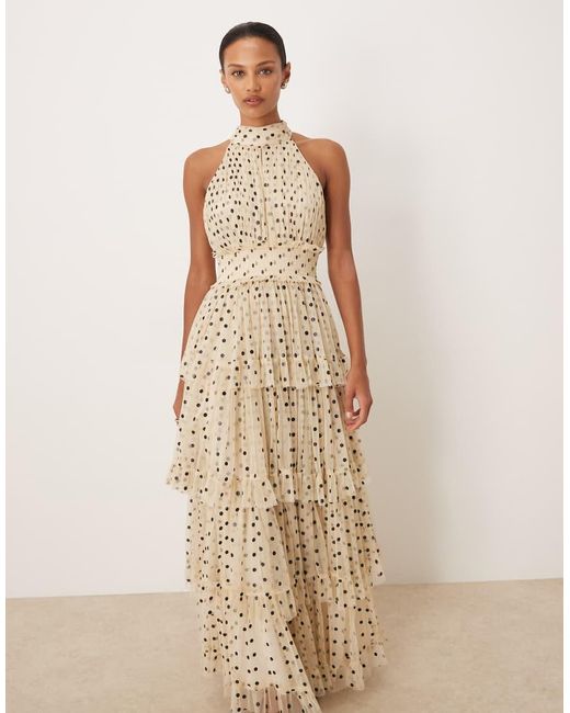 LACE & BEADS Natural Tulle Tiered High Neck Maxi Dress