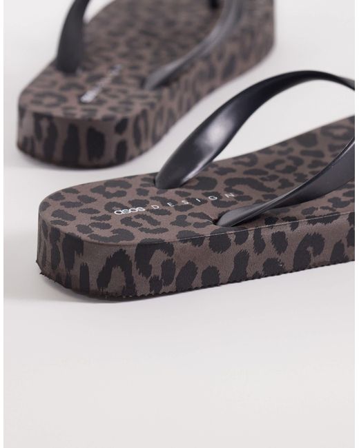 ASOS Brown Flavio Thongs