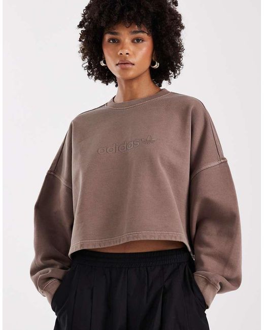 Adidas Originals Brown Essentials Linear Cropped Sweatshirt