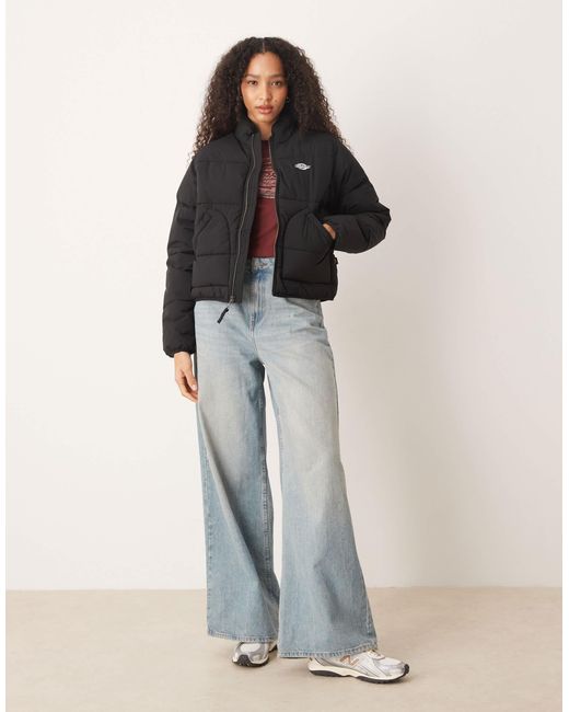 Summerdale - doudoune oversize Dickies en coloris Black