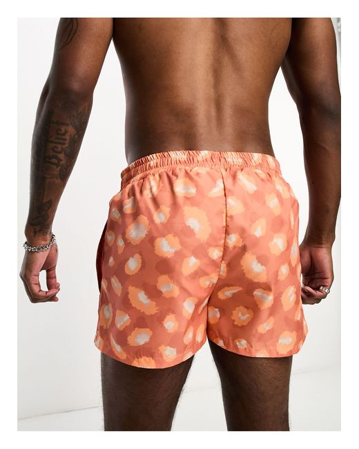 Pantaloncini da bagno taglio cortissimo color ruggine leopardati da Uomo di  Bolongaro Trevor in Arancione | Lyst