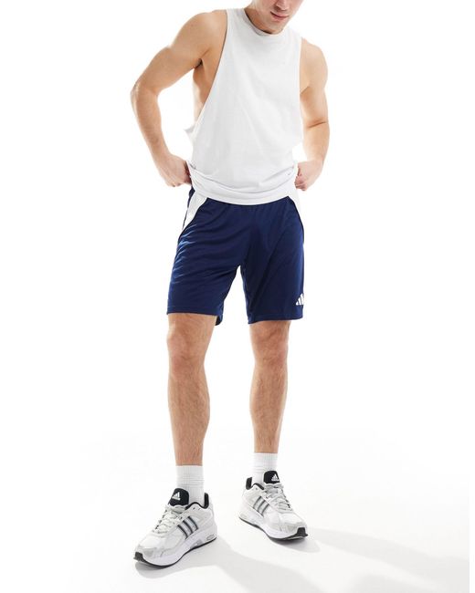 Adidas Originals Blue Adidas Football Tiro 24 Shorts for men
