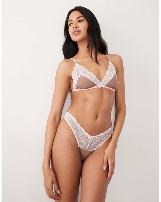 Wild Lovers Brown Solene Lace Soft Bra