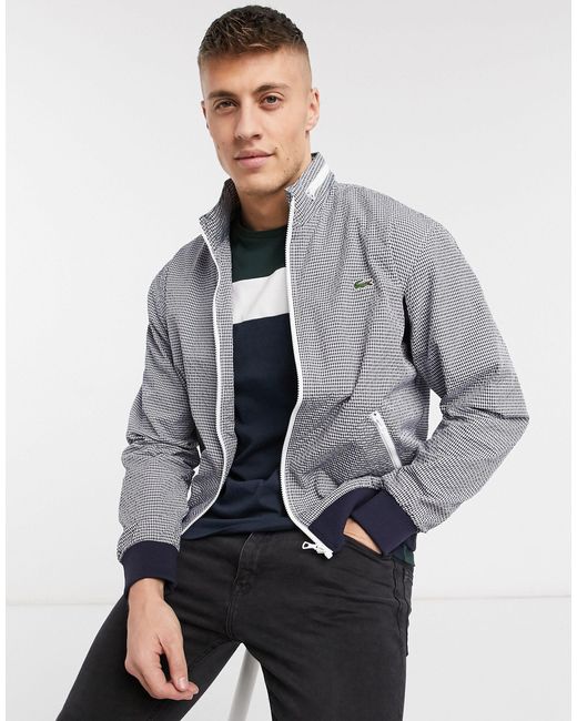 Lacoste Cotton Check Bomber Jacket in 