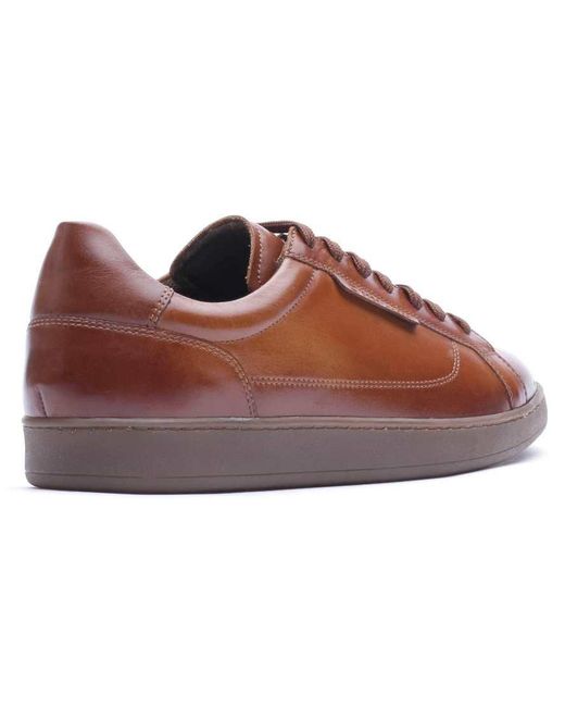Base London Brown Zammo Lace Up Trainer for men