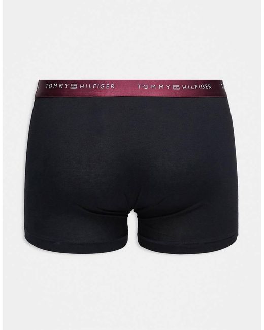 Tommy Hilfiger Blue Signature Cotton Essentials 3 Pack Trunks for men