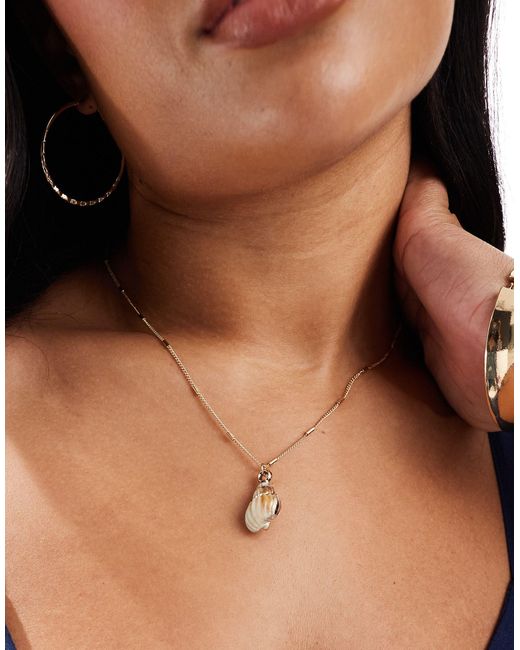 ASOS Brown Asos Design Curve Necklace With Faux Shell Charm On Dot Dash Chain