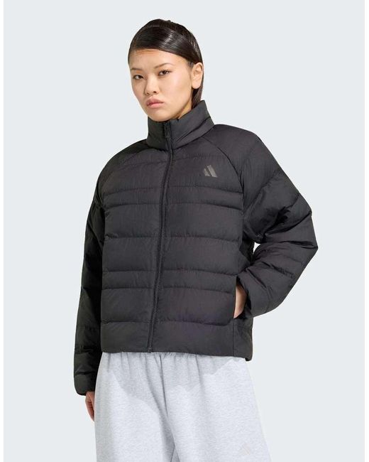 Adidas Originals Gray Essentials Packable Insulated Jacket