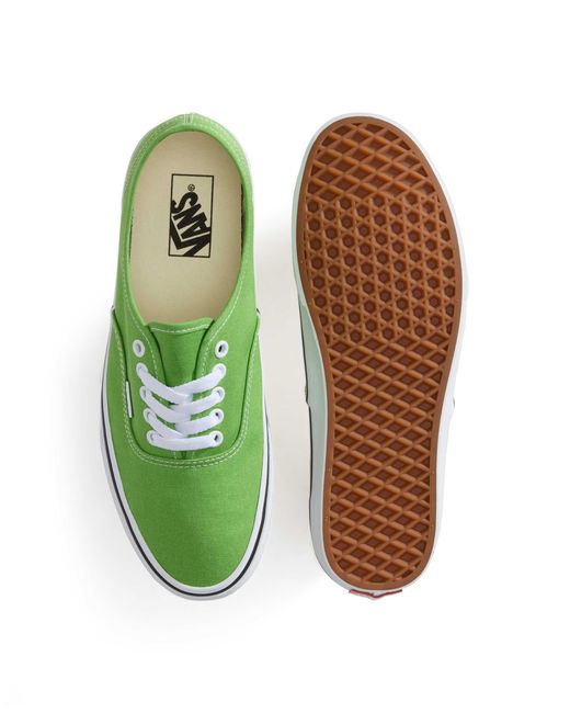 Authentic - baskets - citron Vans en coloris Green