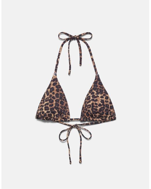 Haut Pull&Bear en coloris Brown