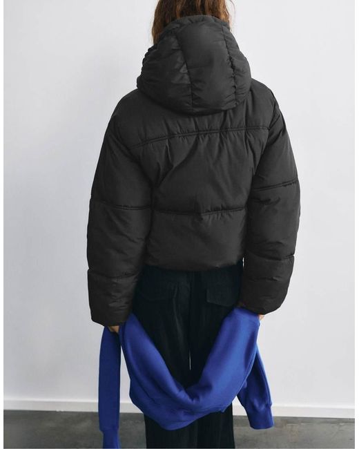 Pull&Bear Cropped Pufferjack Met Capuchon in het Blue