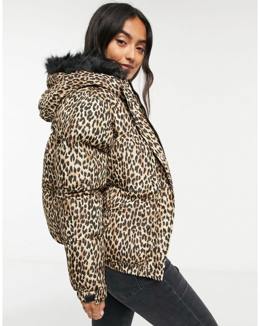 Brave Soul Fernie Hooded Puffer Jacket 