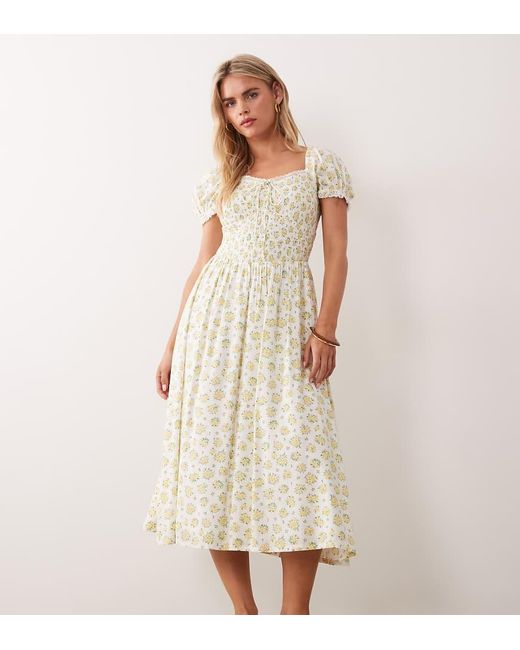 Nobody's Child Petite Natural Savanna Midi Dress