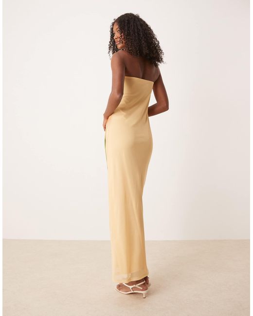 ASOS Natural Mesh Floral Placement Printed Bandeau Maxi Dress